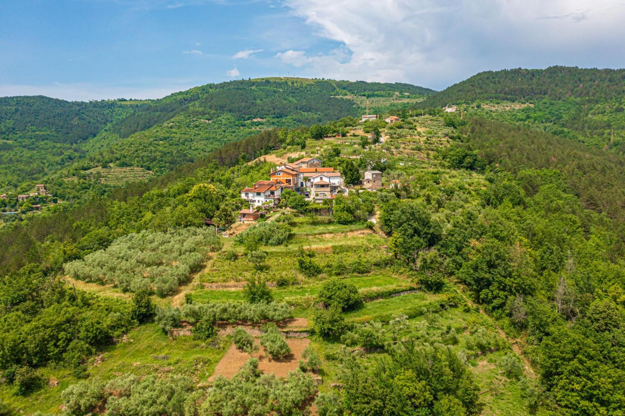 Belveder Motovun With Heated Pool Holiday home
