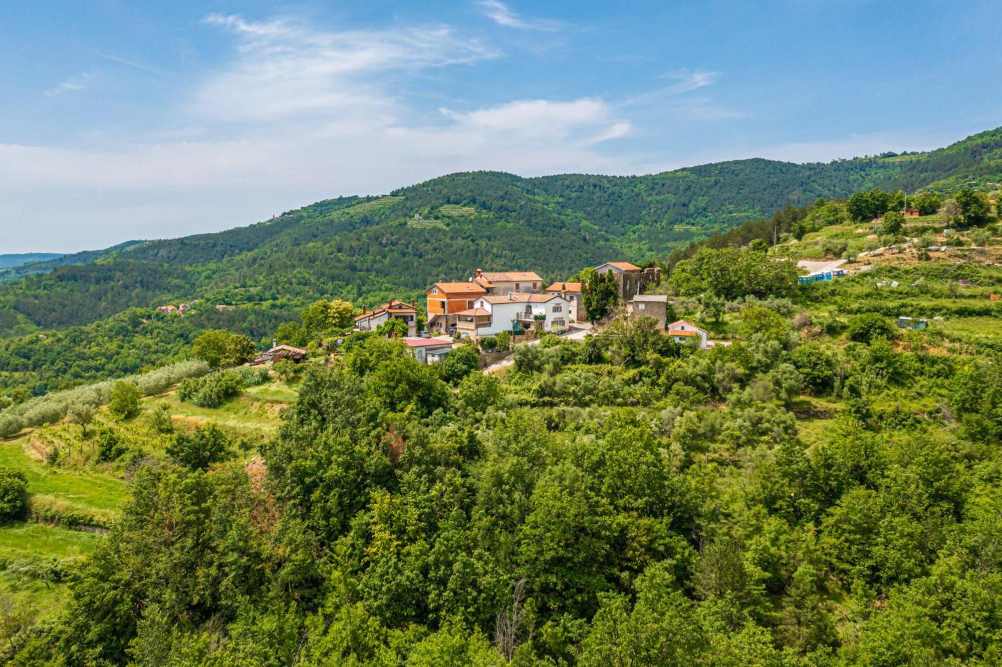 Belveder Motovun With Heated Pool Holiday home *