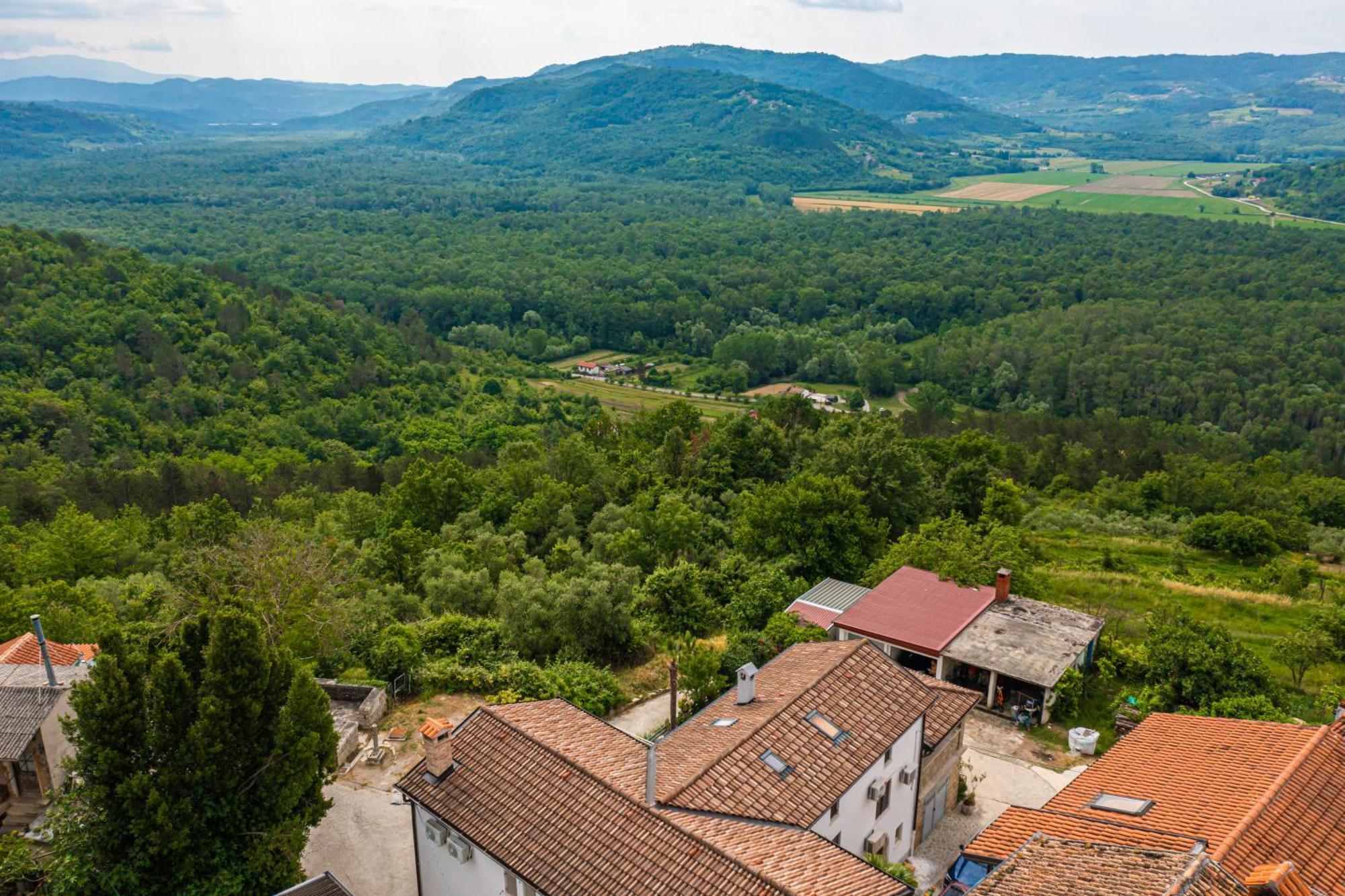 Belveder Motovun With Heated Pool Holiday home Livade